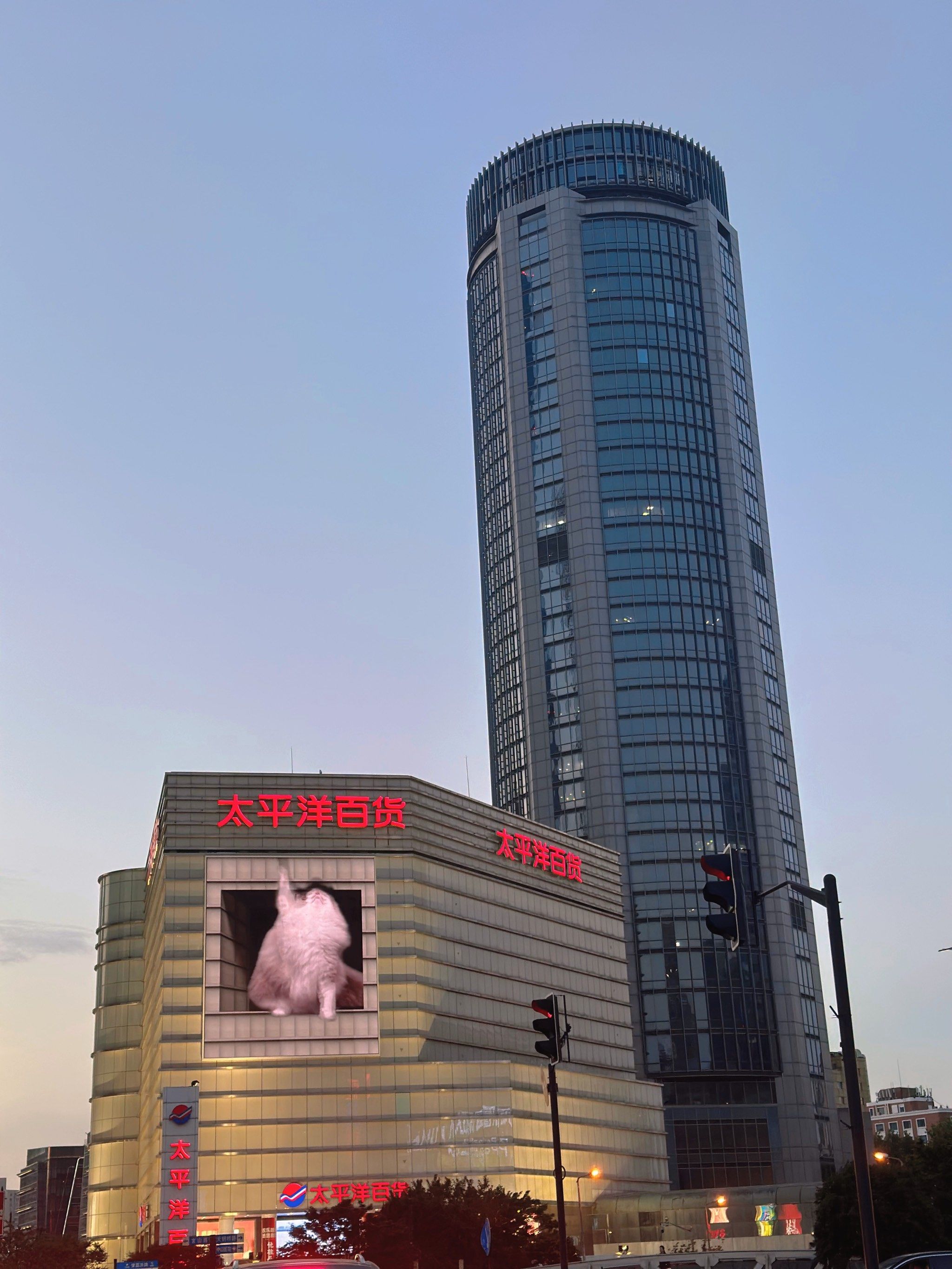 太平洋百货:宝贝对不起[流泪]要说再见了👋🏻