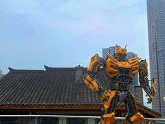 -嫩芽 ·地道重庆菜(十八梯露台夜景店)