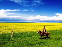 -青海湖国家重点风景名胜区