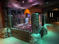 -沈阳海洋探索中心