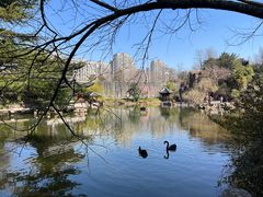 -水绘园