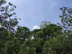 -南山植物园