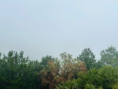 -南京市无想山景区
