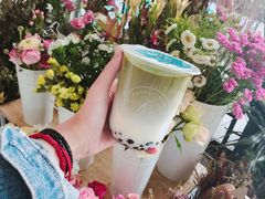 宇治抹茶-Bubble Nini Chippendale