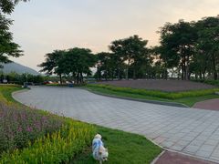 -芒洲湿地公园