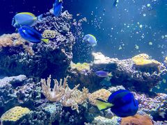 -海合安天津极地海洋公园