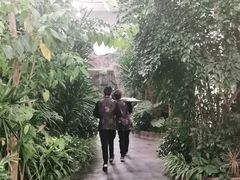 -滕头生态酒店(奉化店)