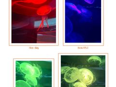 -常州海昌海洋探索馆