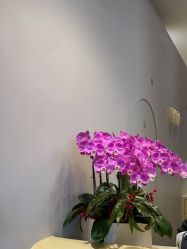 -超级奈尔宝SUPER NEOBIO(杭州星光店)