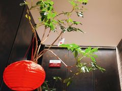-胡大饭馆 24h(簋街总店)