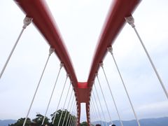 -金鸡山公园