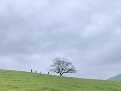-渡海小渔村.老辈日照菜