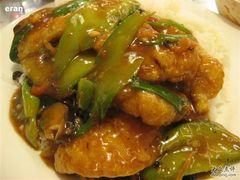 189我的豉汁凉瓜深海斑饭-哈嗲，总算吃-翠华餐厅
