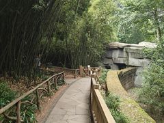 -成都大熊猫繁育研究基地