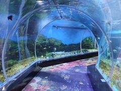 -顺德南宏海立方海洋公园
