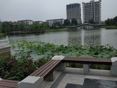 -西海子公园