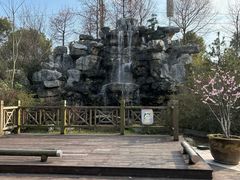 -上海海湾国家森林公园