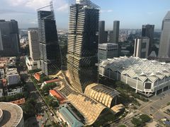 -新加坡瑞士史丹福酒店