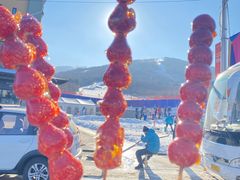 -中旅松花湖滑雪场