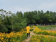 -东湖落雁景区
