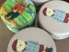 -珍妮曲奇聪明小熊(尖沙咀店)