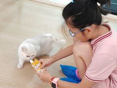 -1013 PET SHOP 宠物商店(近铁城市广场店)