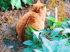-大钟寺古钟博物馆