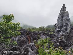 -千岛湖石林