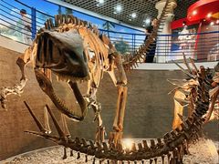 -国家自然博物馆