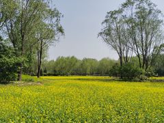 -北坞公园