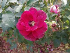 -人民公园(罗湖区)