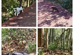 -敬亭山风景名胜区