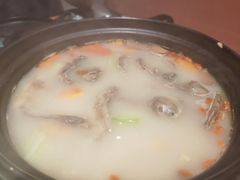 -羽鸽集·乳鸽专门店·地道顺德菜(岭南站店)
