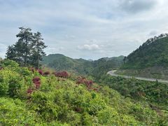 -四明山国家森林公园