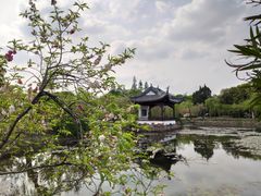 -无锡蠡湖国家湿地公园-蠡园