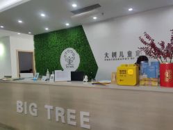 点击看大图 -大树儿童摄影