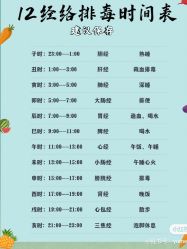 -香薇妮丝女子减肥院