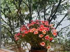 -赋韵岩茶厂(总厂)
