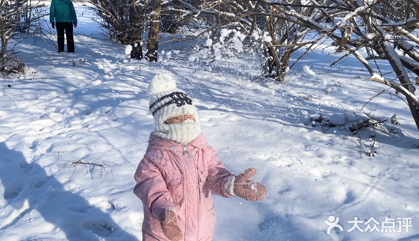 冬天来东北玩雪