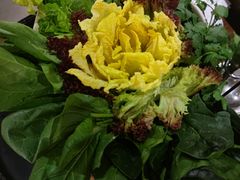 -快乐小羊·内蒙牛羊肉火锅(流花中心店)