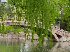 -二一九公园