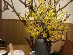 -纯彩日本料理
