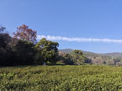 -灵顺寺
