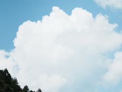 -武陵山森林公园