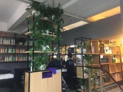 大厅-青禾造型&刺青