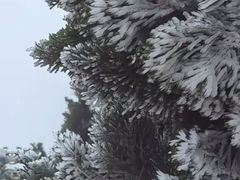 -梅州天地人花园酒店(梅县人民广场店)