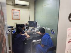 -宠物星动物医院·眼科·异宠·猫科(江南大道总院)