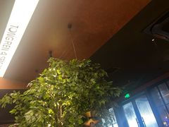 -同仁四季椰子鸡(福田车公庙店)