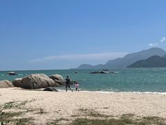 -花海间·即刻露营