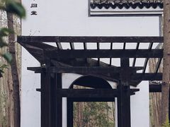 -合肥滨湖国家森林公园